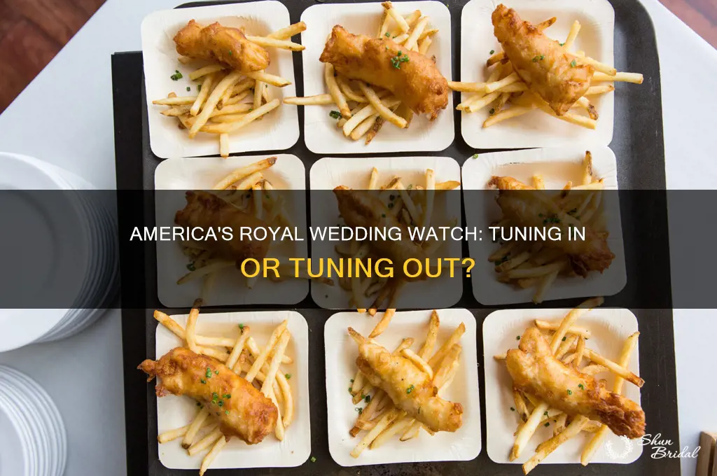 is america watching the royal wedding