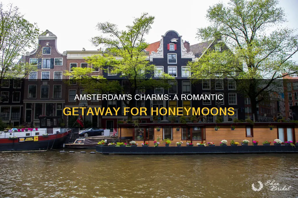 is amsterdam a good place for honeymoon