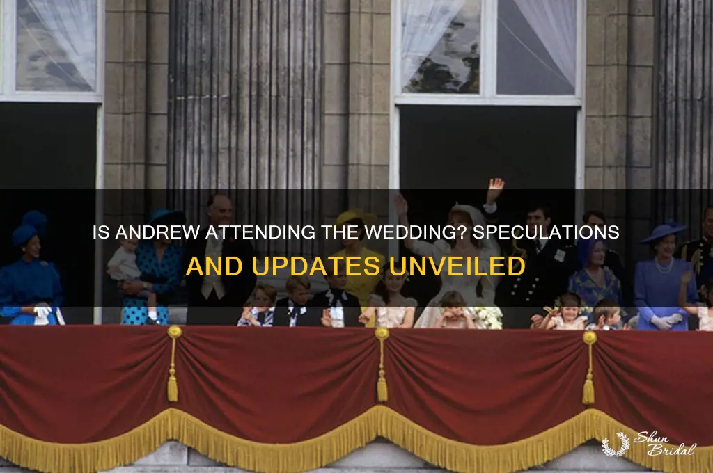 is andrew going to the wedding