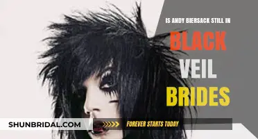 Is Andy Biersack Still Fronting Black Veil Brides?