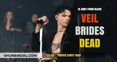 Is Andy Biersack from Black Veil Brides Still Alive?