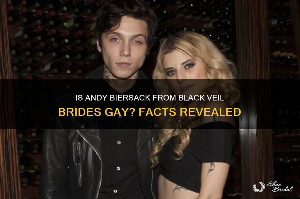 is andy from black veil brides gay