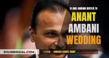 Anil Ambani's Wedding Snub: A Family Rift?