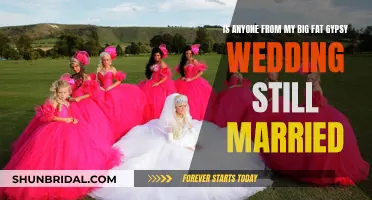 My Big Fat Gypsy Wedding": Ever After