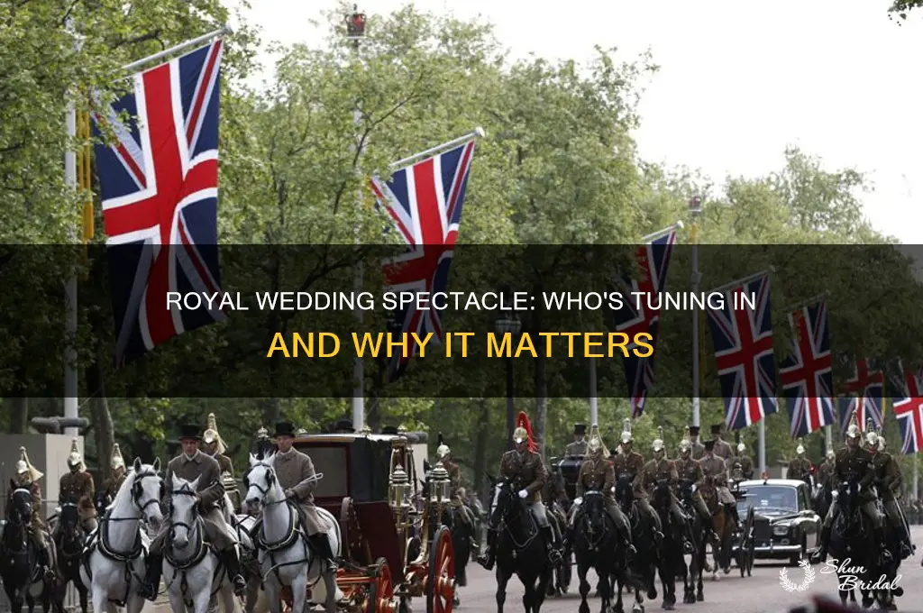 is anyone watching the royal wedding