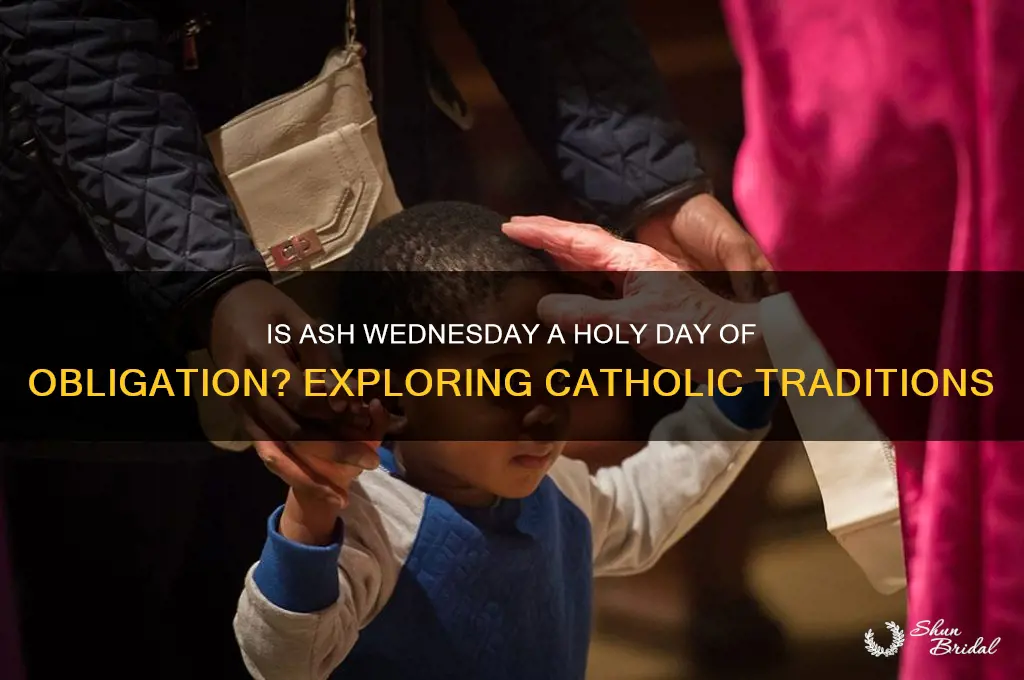 is ash weds a holy day of obligation