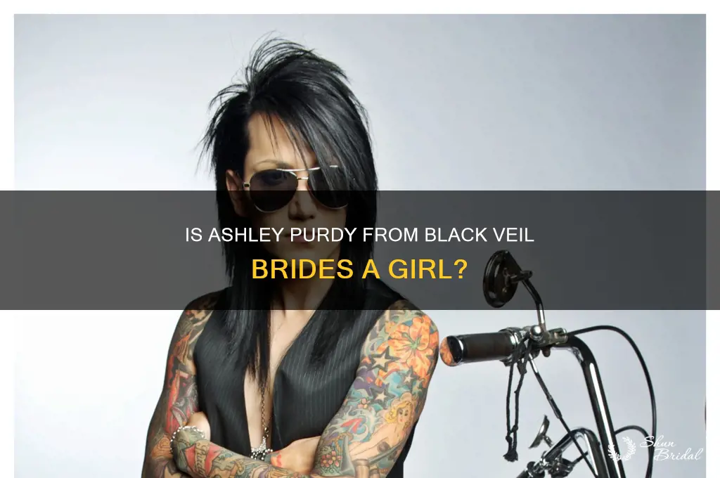 is ashley from black veil brides a girl