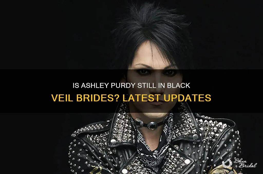 is ashley purdy still in black veil brides