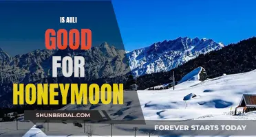 Auli: The Perfect Honeymooner's Paradise in the Mountains