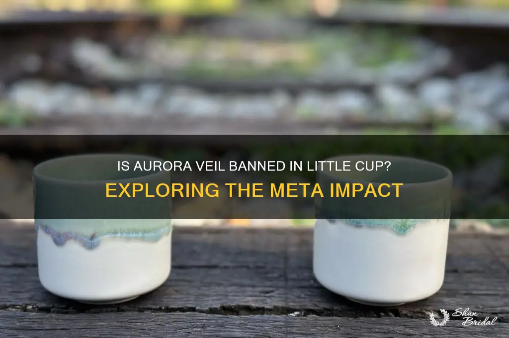 is aurora veil banned in lc