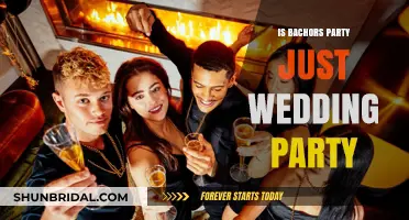 Bachelor Parties vs. Wedding Parties: Are They Essentially the Same?