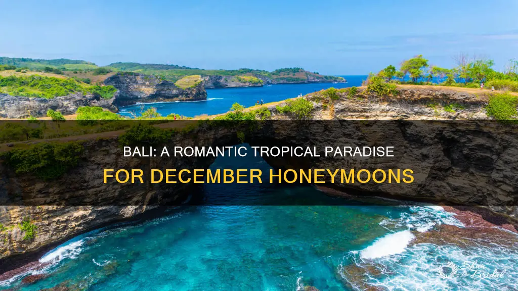 is bali good for honeymoon in december