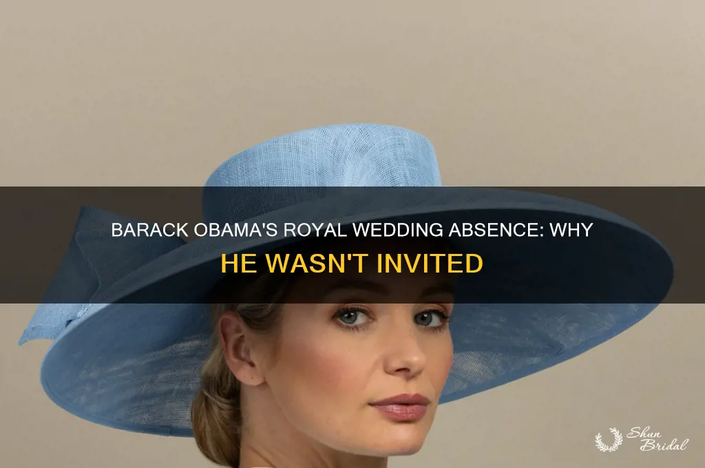 is barack obama at the royal wedding