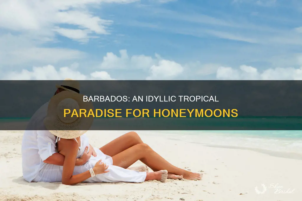 is barbados a good honeymoon destination