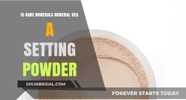 Bare Minerals Mineral Veil: Setting Powder or Something More?