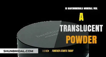 Is BareMinerals Mineral Veil a Translucent Powder? Find Out Now