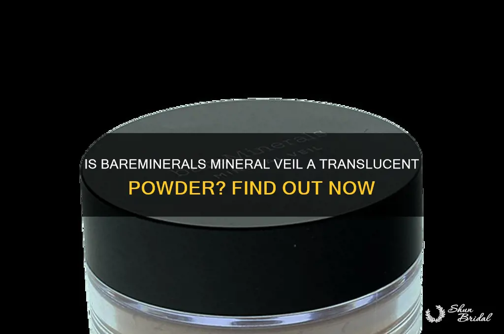 is bareminerals mineral veil a translucent powder