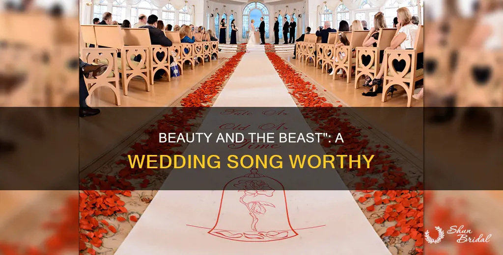 is beauty and the beast a good wedding song