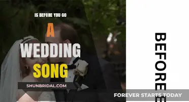 Is 'Before You Go' the Perfect Wedding Song? Exploring Its Meaning