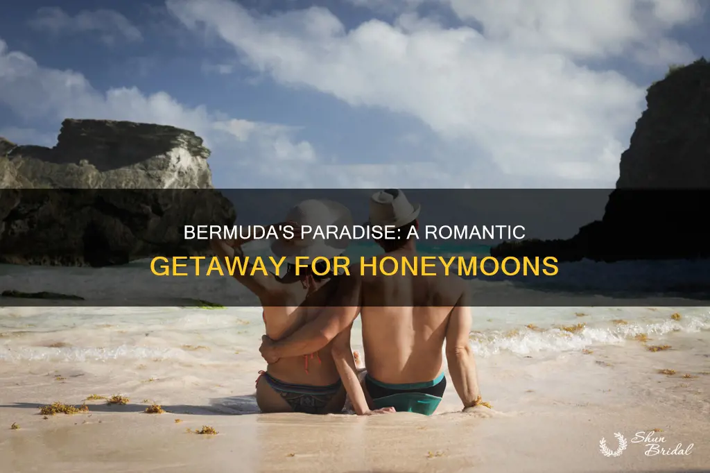 is bermuda a good honeymoon destination