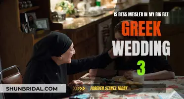 My Big Fat Greek Wedding 3: Will Bess Meisler Make an Appearance?