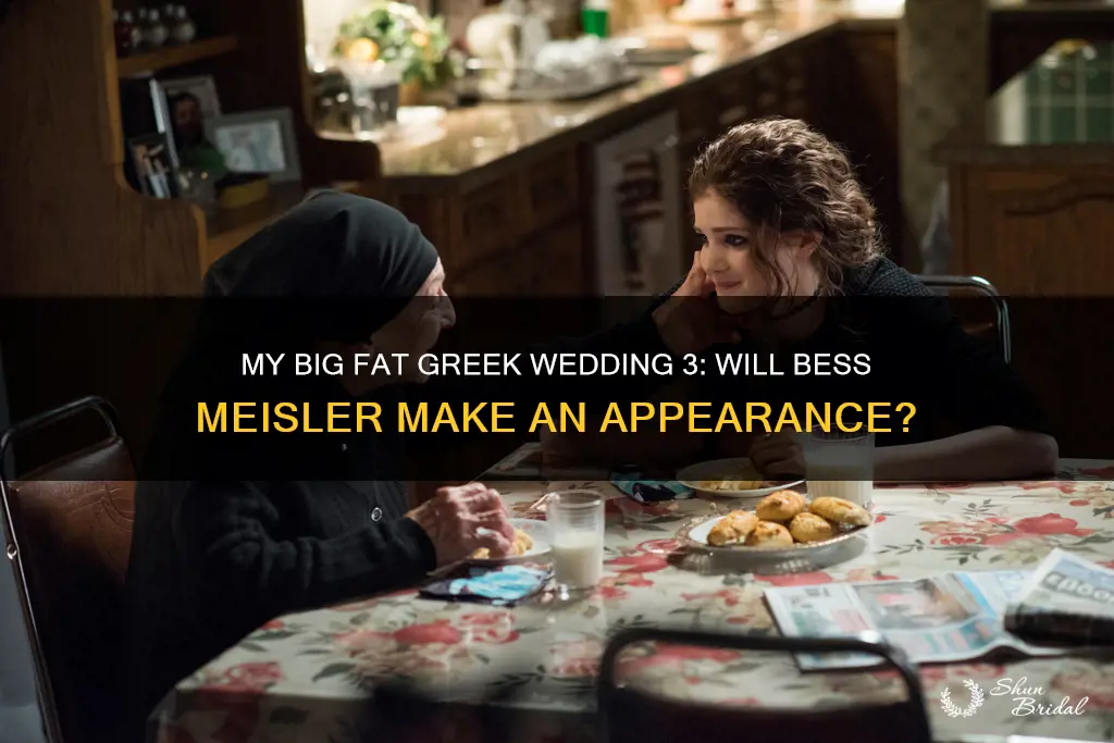 is bess meisler in my big fat greek wedding 3