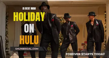 Best Man Holiday: Hulu's Festive Treat for Viewers