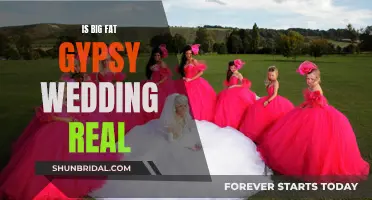 Big Fat Gypsy Wedding: Fact or Fiction?