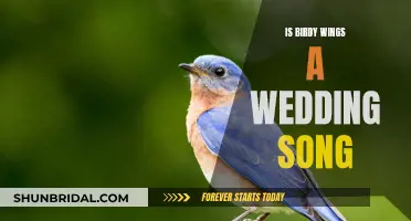 Birdy Wings: A Wedding Song or Not?
