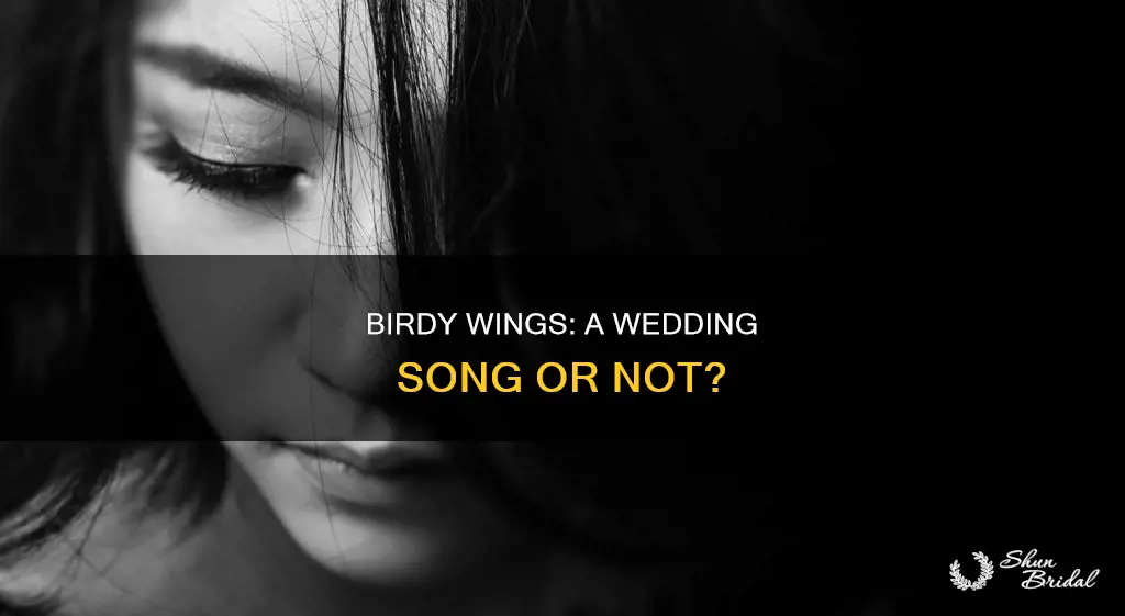 is birdy wings a wedding song