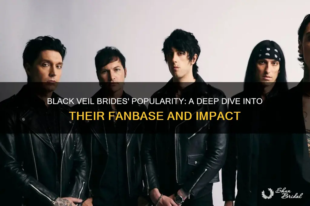 is black veil brides a popular band