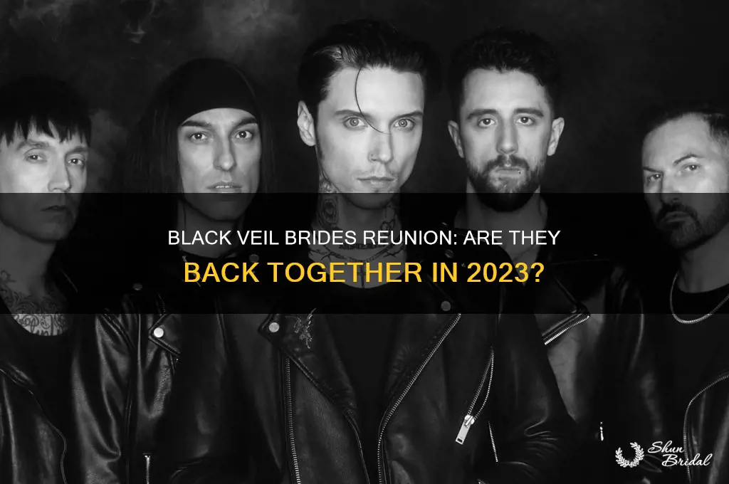 is black veil brides back together
