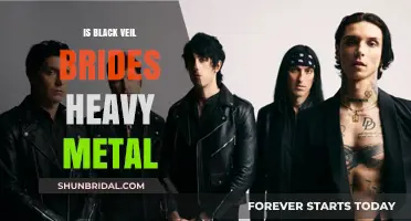 Black Veil Brides: Heavy Metal or Something Else?