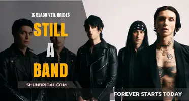 Are Black Veil Brides Still Rocking the Scene?