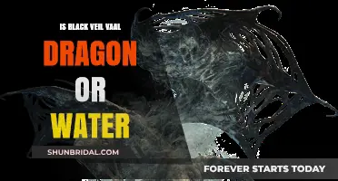 Black Veil Vaal: Dragon or Water? Unraveling the Mystery