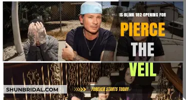 Blink-182 and Pierce the Veil: Who's Opening for Whom?