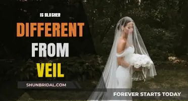 Blusher vs. Veil: Understanding the Key Differences and Uses