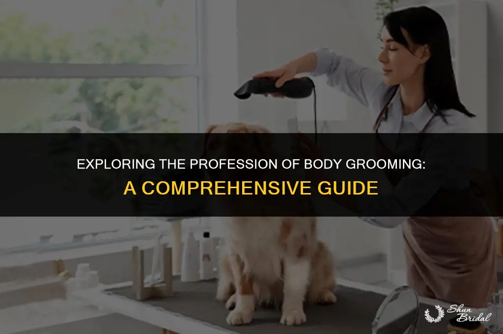 is body groomer a job