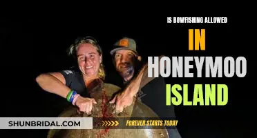 Honeymoon Island's Bowfishing Rules: Legal Insights for Anglers