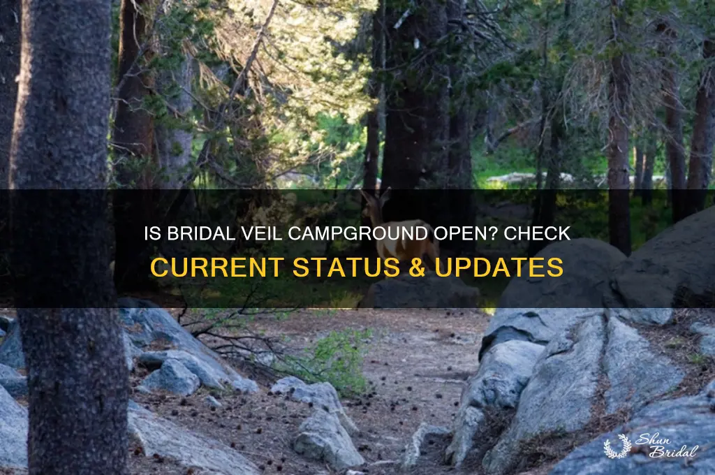 is bridal veil campground open