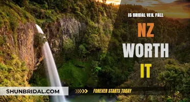 Bridal Veil Falls NZ: Is This Scenic Hike Worth Your Time?