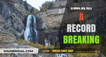 Bridal Veil Falls: Record-Breaking Wonder or Myth?