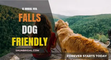 Is Bridal Veil Falls Dog Friendly? A Hiking Guide for Pet Owners