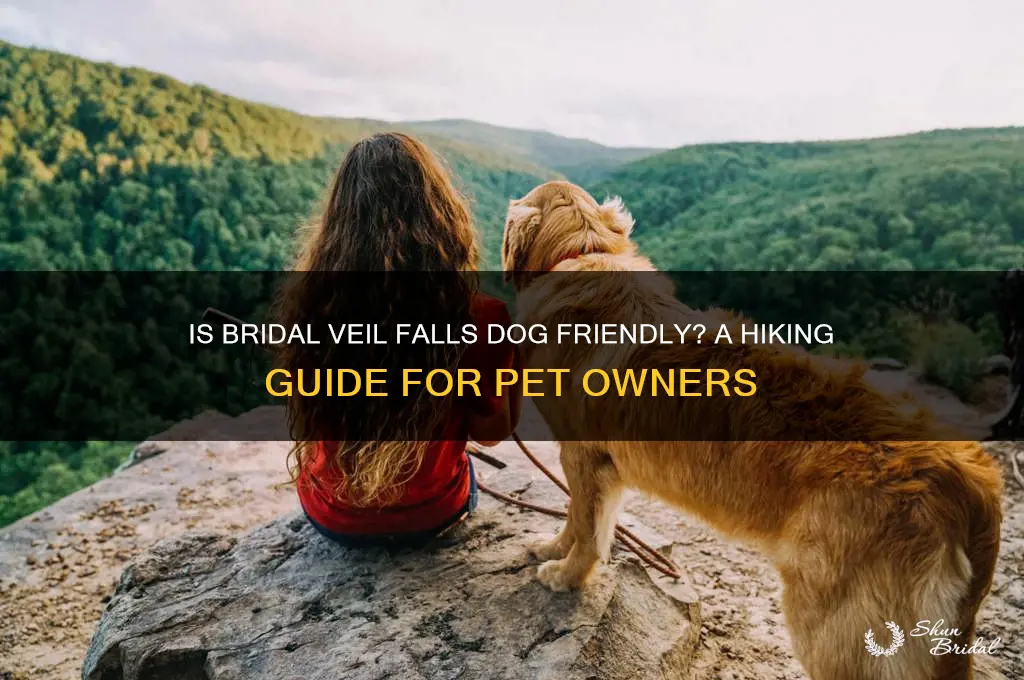 is bridal veil falls dog friendly
