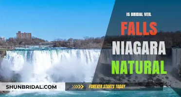 Is Bridal Veil Falls at Niagara a Natural Wonder?
