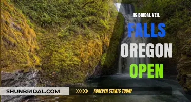Bridal Veil Falls Oregon: Current Access and Visitor Information