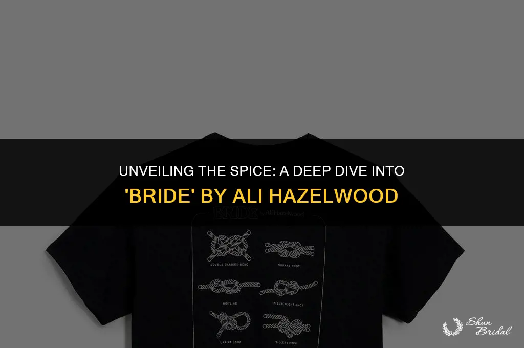is bride by ali hazelwood spicy