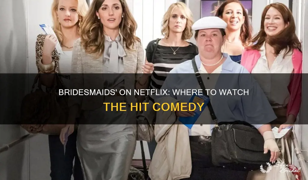 is bridesmaids on netfluc