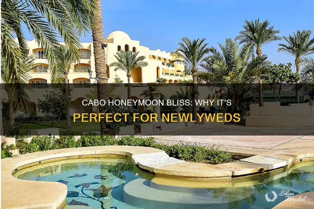 is cabo a good honeymoon destination