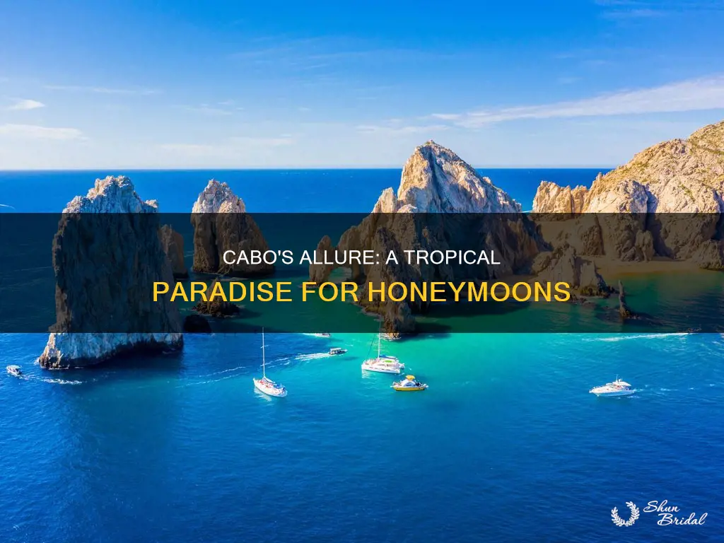 is cabo a good place to honeymoon